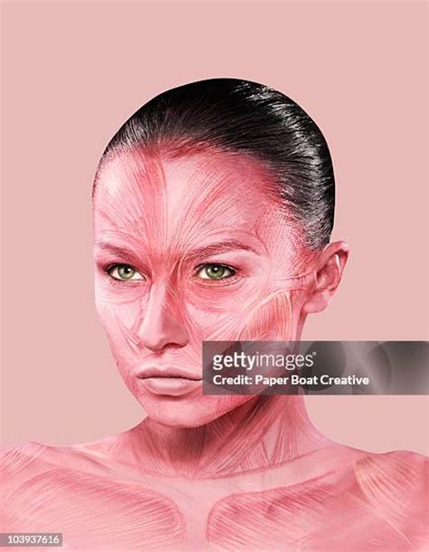 Facial Muscle Anatomy Photos And Premium High Res Pictures Getty Images
