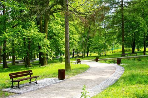 Beautiful Spring Park — Stock Photo © Wdgphoto 4582193