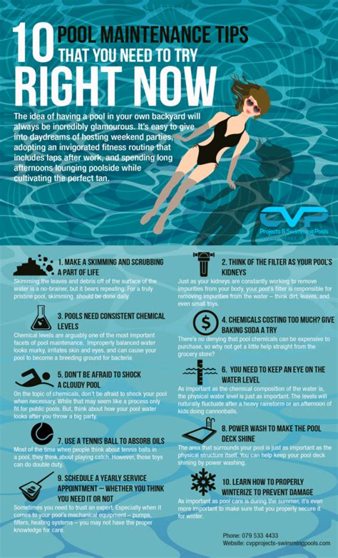 Pool Maintenance Tips Infographic