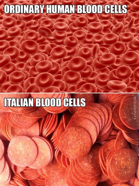 Human Anatomy Is Amazing Anatomy Humor Italian Humor Medical Memes