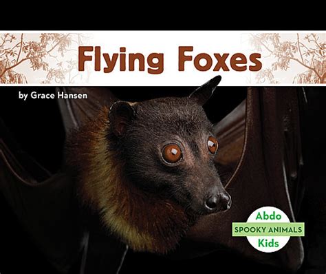 Flying Foxes Abdo