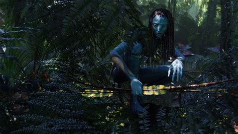 Avatar Shot-By-Shot | Avatar, In the tree, Shot by shot