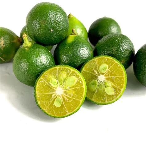 Wholesale Green Calamansi Frozen Sour Kumquat Fruit Origin Vietnam