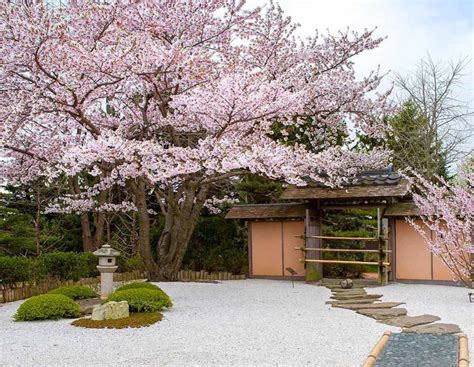 12 Stunning Japanese Gardens In America You Cant Miss