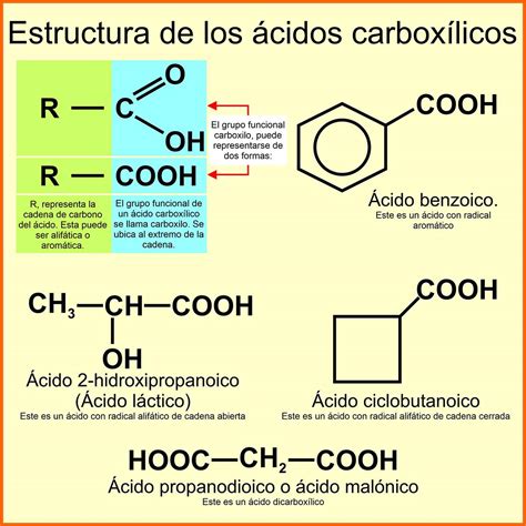 Ácidos Carboxílicos Nomenclatura Propiedades Y Usos