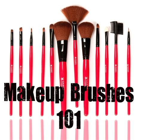 Makeup Brushes 101 Pandora Bracelets Pandora Jewelry Makeup Tips