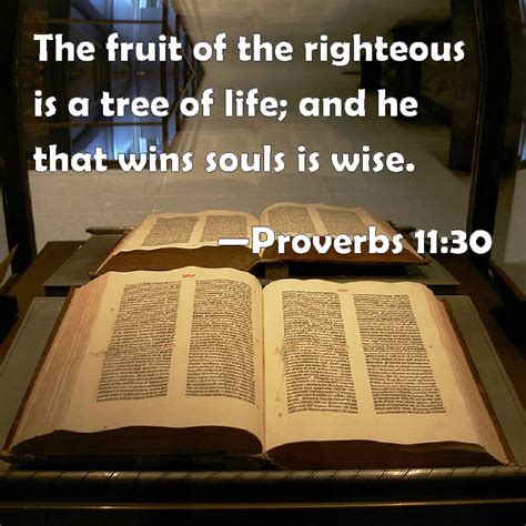 Proverbs 1130 The Fruit Of The Righteous Is A Tree Of Life And He