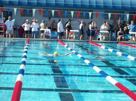 Dream Team Breaks Records At Ymca Swim Meet Severna Park Md Patch