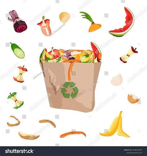 Vegetable Peeled Images Stock Photos Vectors Shutterstock