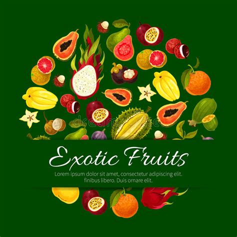 Background With Exotic Tropical Fruits Illustration Of Asian Plants