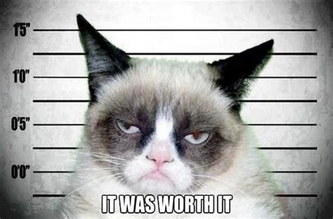 Grumpy Cat At Prison Grumpy Cat Quotes Grumpy Cat Humor Cat Memes