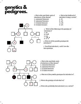 For all phenotype questions below, answers include: Genetics and Pedigree Worksheet by Johonna Sheldon | TpT