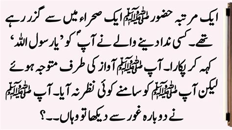 Hazrat Muhammad Saw Ka Janwaron Ke Sath Husn E Sulook Story Of