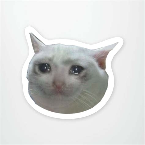 Cat Memes Cats Sticker Cat Memes Cats Memes Descubre Y Comparte Gif