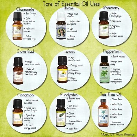 Essential Oils Basic Usage And Benefits Guide Third Monk