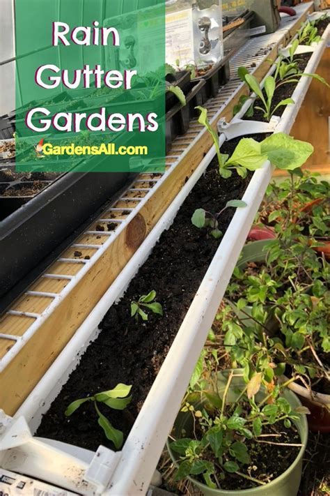 Rain Gutter Garden Ideas For Vertical Gardening Gardensall
