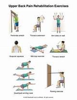 Lower Back Pain Exercises Photos