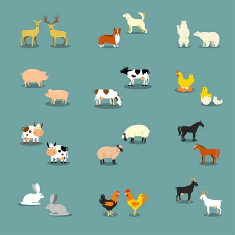 Vector Set Of Isolated Farm Animals Stock Image Everypixel