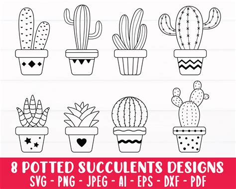 Cactus Pots Svg Bundle Plants Svg Succulents Svg Cactus Etsy