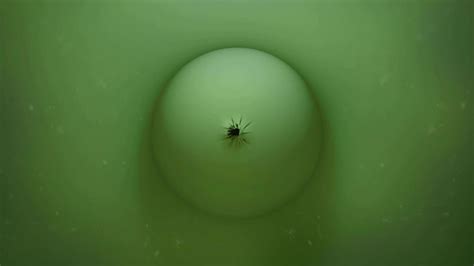 Download easy to customize after effects templates today. Bubble Pop Logo Opener Rapid Download 16421713 Videohive ...