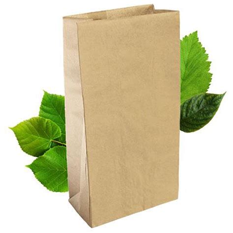 Brown Paper Shopping Bag