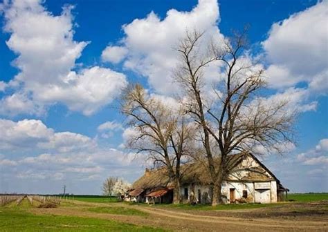 Pin on SERBIA my country
