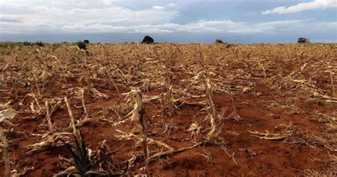 Le Kere Famine menace le Sud de Madagascar suite à la sécheresse