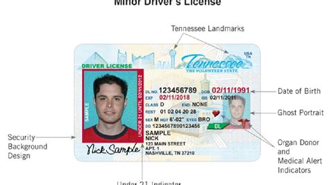 Bagasdi State Of Tennessee Drivers License