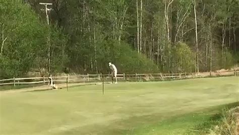 Huge Watch This Bloke Sink A Ridiculously Long Putt Aussie Golfer