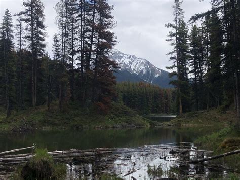 Moose lake alberta [4000x3000] [OC] : r/EarthPorn