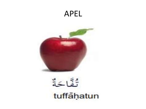 Pembelajaran bahasa arab sdik muhammadiyah cianjur untuk memudahkan anak dalam menguasai kosa kata bahasa arab. Nama Buah buahan dalam b.arab