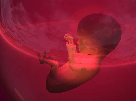 Fetus Dna Blueprint Revealed With New Test Big Think