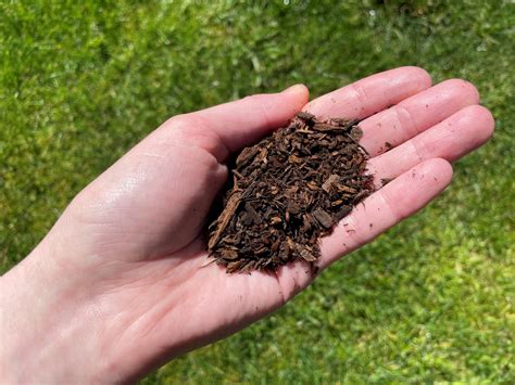 Worlds First Large Scale Human Composting Facility Set To Open In Washington In April
