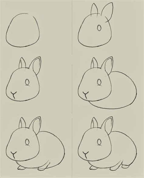 Bunny Drawing Drawings Cute Drawings