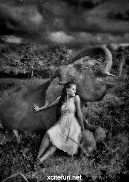 Girl And Elephant
