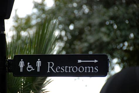 무료 이미지 나무 사람들 햇빛 아침 기호 녹색 방향 상징 깨끗한 빨래 화장실 휴식 상표 남자 여자들 공공의 정보 세면실 위생적인