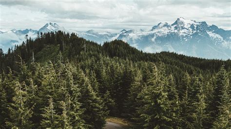 🔥 Download 4k Mountains Trees Road Wallpaper By Elizabethking