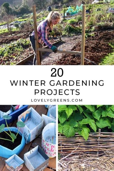 20 Winter Gardening Ideas For The Vegetable Garden Lovely Greens