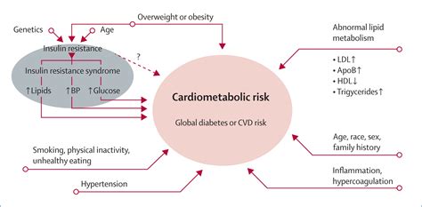Metabolic Syndrome—what Is The Clinical Usefulness The Lancet