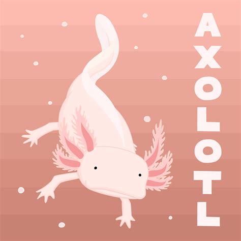 Adorable Axolotls Wallpapers Wallpaper Cave