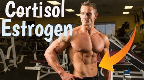 Estrogen And Cortisol Hormones That Affect Belly Fat Thomas Delauer