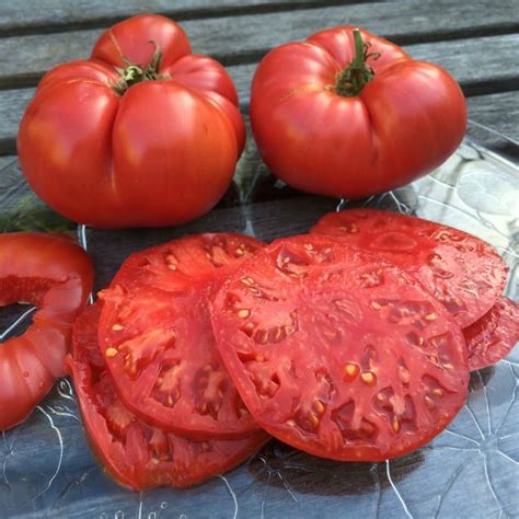 Beefsteak Tomato Health Benefits Nutrition Recipes Substitutes