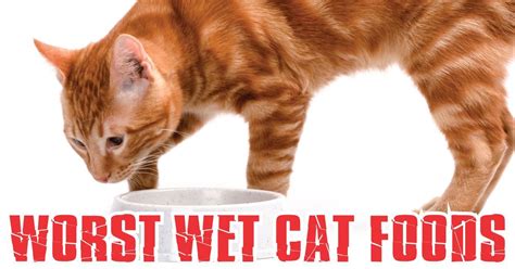 But this guide will provide information about what to look for and consider when shopping for wet cat food and which brands and formulas you should consider for optimum nutrition. Pin on Cat