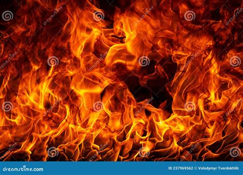 The Fire Burning Flame Large Burning Flaming Fire Stock Photo