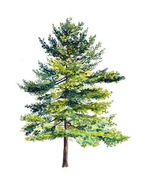 Heres The Full Finished Pine Tree Ive Painted A Lot Of Things And