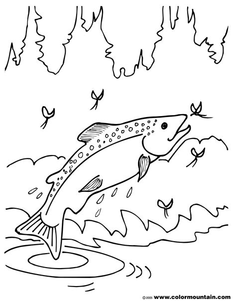 Download arctic coloring sheets for free. Salmon Coloring Pages at GetColorings.com | Free printable ...