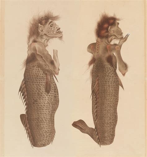 Drawings Of A Mermaid Or Human Fish Creature Japan Edo Period