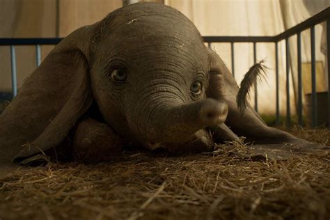 Dumbo Il Trailer E Le Clip In Anteprima Del Film Di Tim Burton Tim