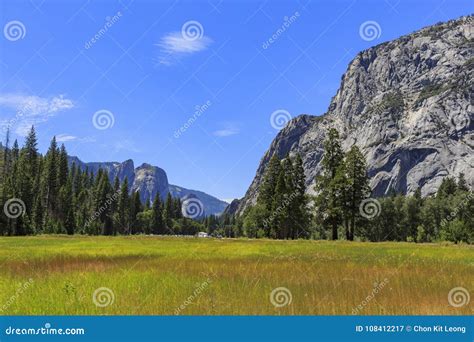 Afternoon Of A Beautiful Grass Field In Yosemite Stock Image Image Of