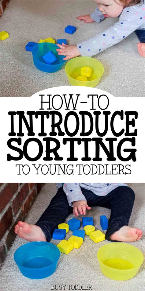 Introducing Sorting Teaching Young Toddlers Busy Toddler Toddler